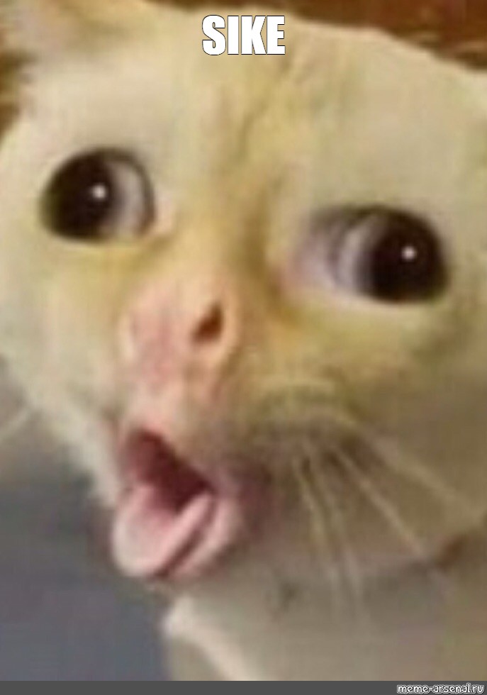 /JirR02/ETH_Informatik/media/branch/master/Informatik_I/Bonus_3/pictures/sike.jpg