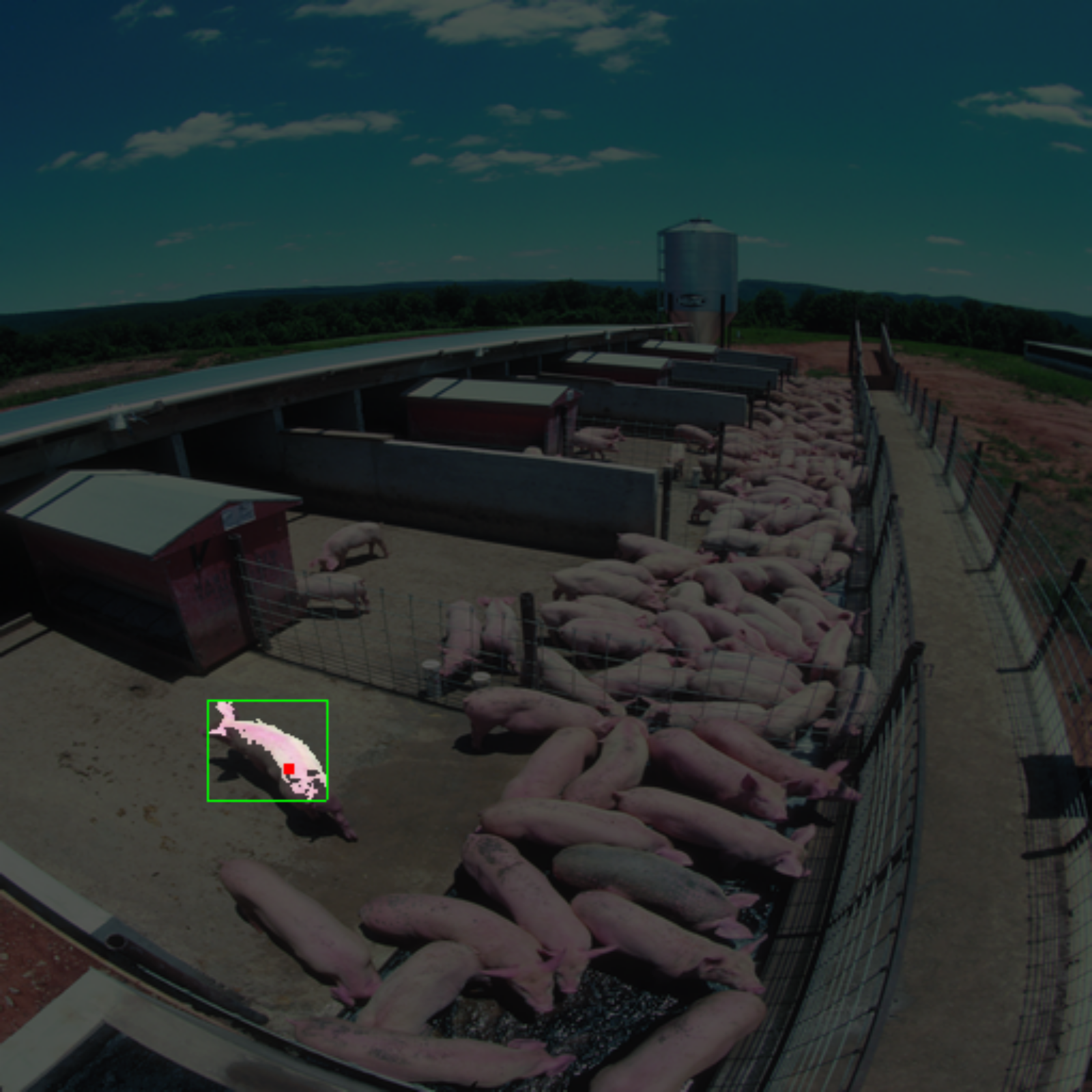 /JirR02/ETH_Informatik/media/commit/fec3fd845fefde5ec618b6461420bb12a4becea4/Informatik_I/Bonus_2/pictures/example_pigs_135_360_20.png
